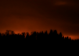 Property lost to California wildfires exceeds $1B