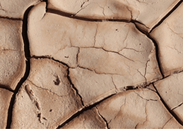 What does Upstream have to show for itself?