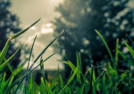 The nose knows: how to deal with smelly listings