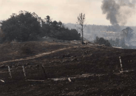 California fires threaten over 172K homes worth billions