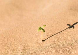 7 strategies to grow your real estate business