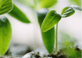 3 minor tweaks for major real estate business growth