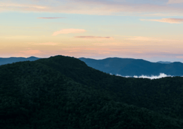 MLSs in North Carolina consolidate for cost savings, bargaining power