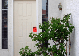 Squatter attacks real estate agent with a rake, highlighting risks