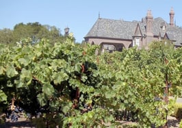 Ledson Winery and Vineyards, Santa Rosa, California, USA