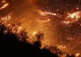 Southern California Wildfires Forces Thousands to Evacuate