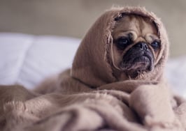 Feeling burned out? Ask yourself these 4 soul-searching questions