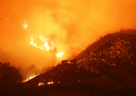 SoCal Realtors help clients, save animals as wildfires rage