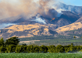 The latest from the Southern California wildfires