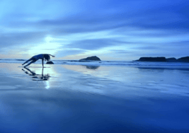 Coldwell Banker goes 'blue' in new ad campaign