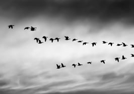 7 things real estate leaders should never do