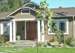 Starter homes gaining equity faster than luxury sector: Zillow