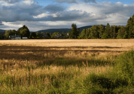 Homeowners called the cops to report their 'stolen' house