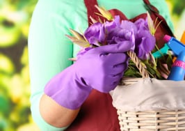 10 spring cleaning tips to help your listing shine