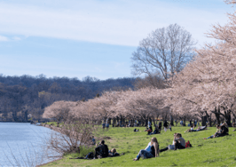 America's best places to live, buy and retire