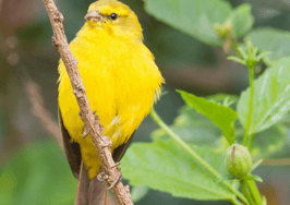 HouseCanary wins $706M after getting sued by Quicken Loans affiliate