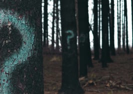 3 questions to spark instant rapport at every first client meeting