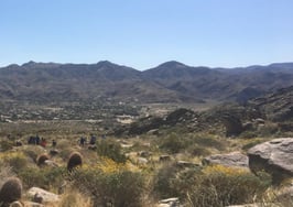 Embodying Parker Principle 4: Enforcing ethical standards to increase professionalism