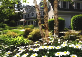 The best month and date to sell a home is …