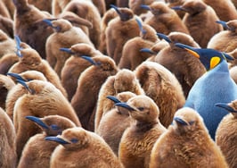 How to stand out from the competition