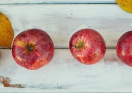 An Atlanta agent takes Knock, OfferPad and Opendoor for a test-drive