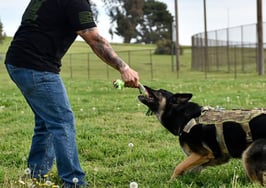 Nevada woman awarded $6K after being denied service animal