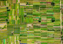 How real estate (and beer) can help save our dying planet