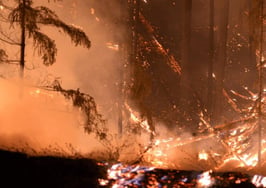 The California Association of Realtors is raising money for members impacted by wildfires