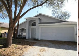 Realtor stowed away 25 feral cats in urine-drenched Florida home before selling it to clients: Lawsuit