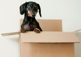 Moved, a home moving startup, closes $3.2M funding round