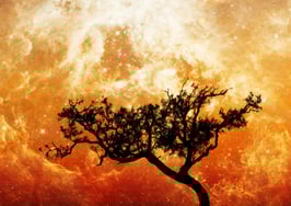 Despite risks, fire prone areas can still hold value — for now