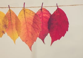 5 ways to take advantage of fall and make your yearly goals