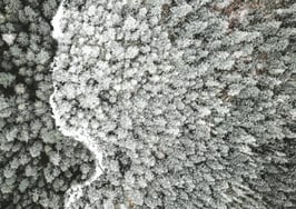 NAR apologizes for 'shameful' past housing discrimination