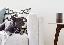 Amazon Echo with Alexa and dog
