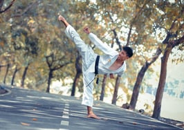 Karate martial arts kung fu