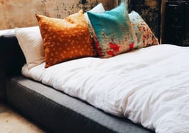 The tiny critters that are infesting real estate