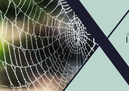 Luxury Connect: Marketing that maintains your client connection