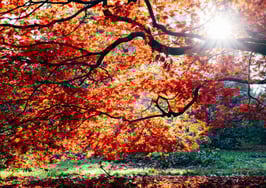 5 tricks that'll get your listings sold faster this fall