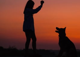 Barking up the right tree: How dogs can give your marketing a boost