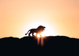 Why the housing market will stay strong through 2021