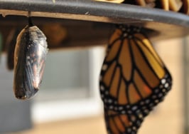 Trulia founder: The 3 ways tech will transform real estate next