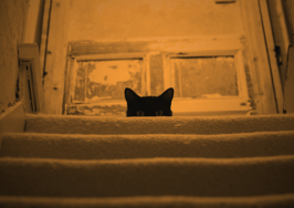 Knock on wood: 5 superstitions that make or break a deal