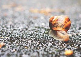 Home price growth slows across the country