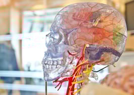 3 tips for making money with your mindset