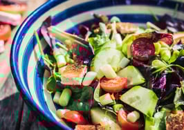 2019's top diets made to fit your real estate schedule