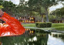 Michael Jackson's Neverland Ranch returns to market — with a massive $69M price cut