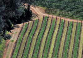 Engel & Völkers opens in Napa with Compass defectors