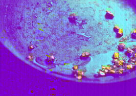 6 daily prospecting activities new agents can't afford to skip