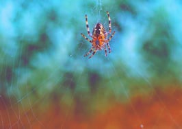 The referral system that’ll land you 30 more deals per year