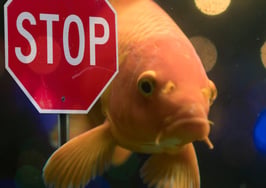 Are you making these 3 career-ruining mistakes?